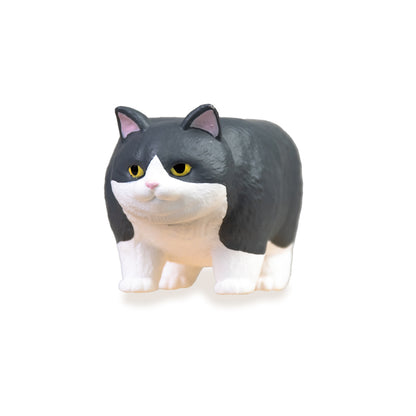 貓咪金字塔