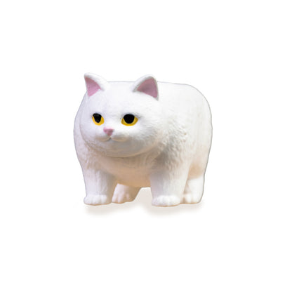 貓咪金字塔