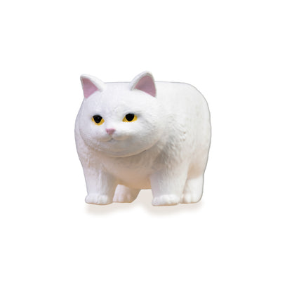 貓咪金字塔